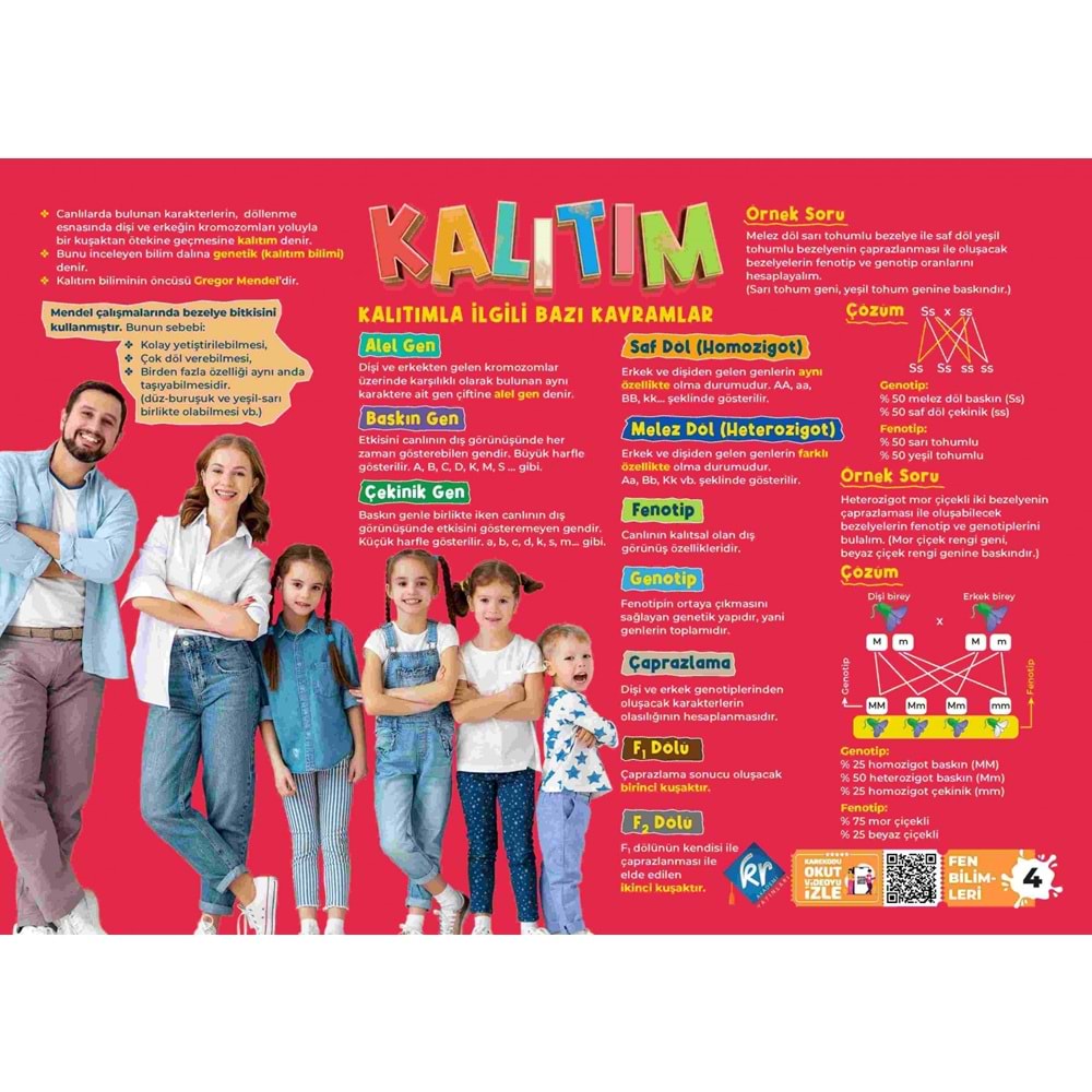 2026 LGS POSTER NOTLAR SETİ