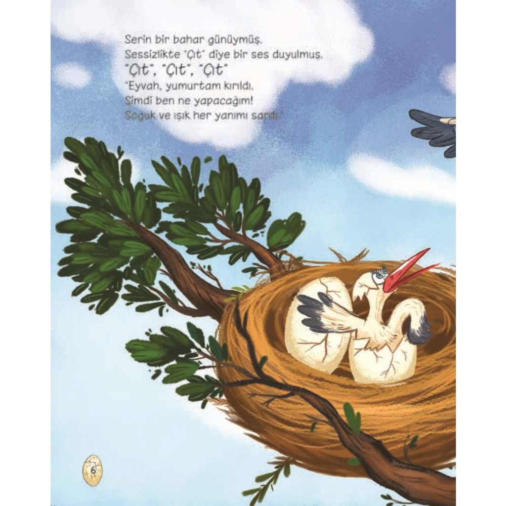 Eyvah Yumurtam Çatladı! (CİLTLİ)