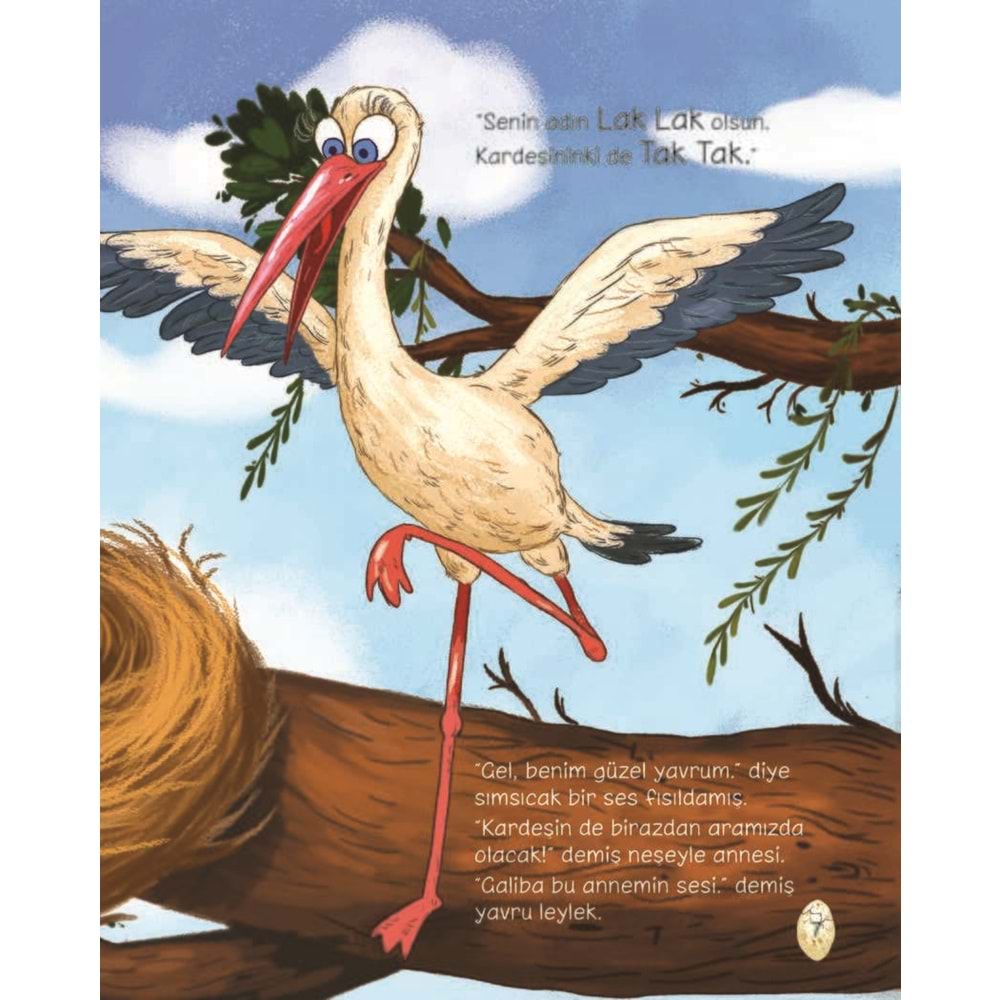 Eyvah Yumurtam Çatladı! (CİLTLİ)