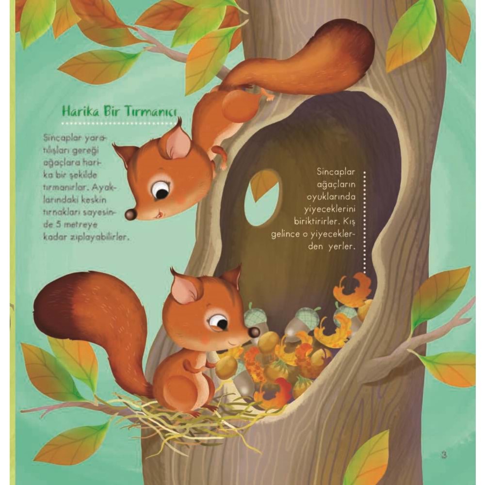 İlk Doğa Kitabım Serisi-1: Minik Yuvalar