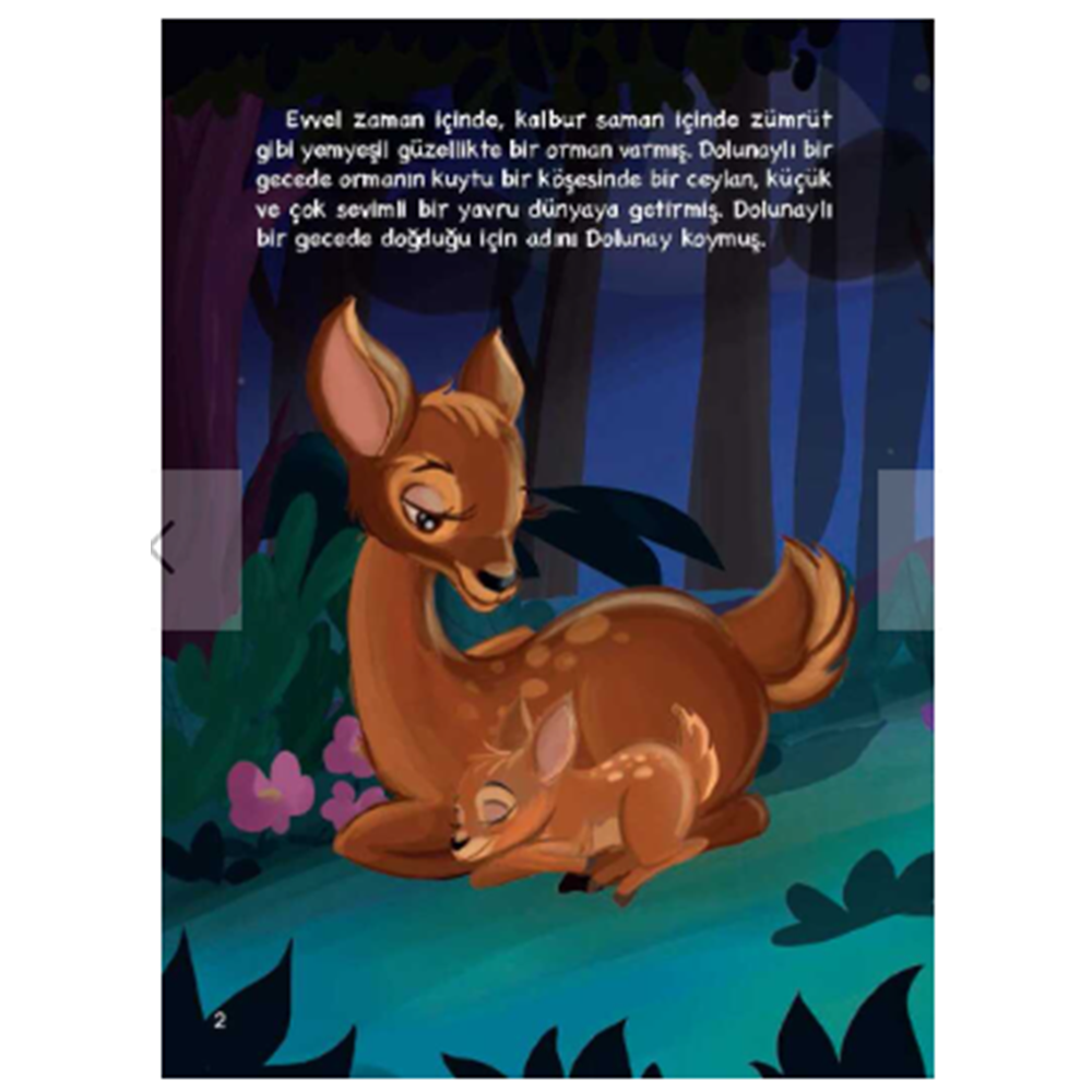 Uykudan Önce Şanlı Masallar (CİLTLİ)