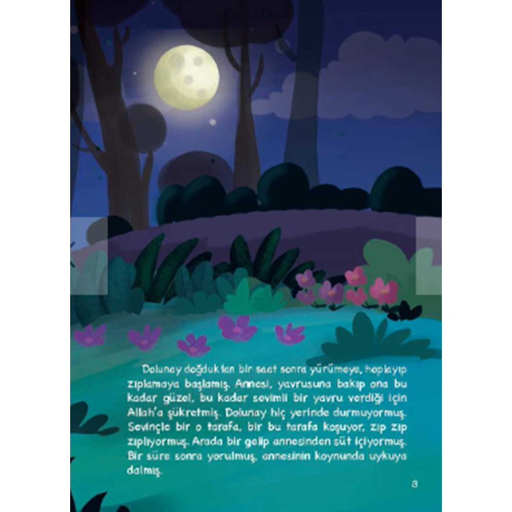 Uykudan Önce Şanlı Masallar (CİLTLİ)