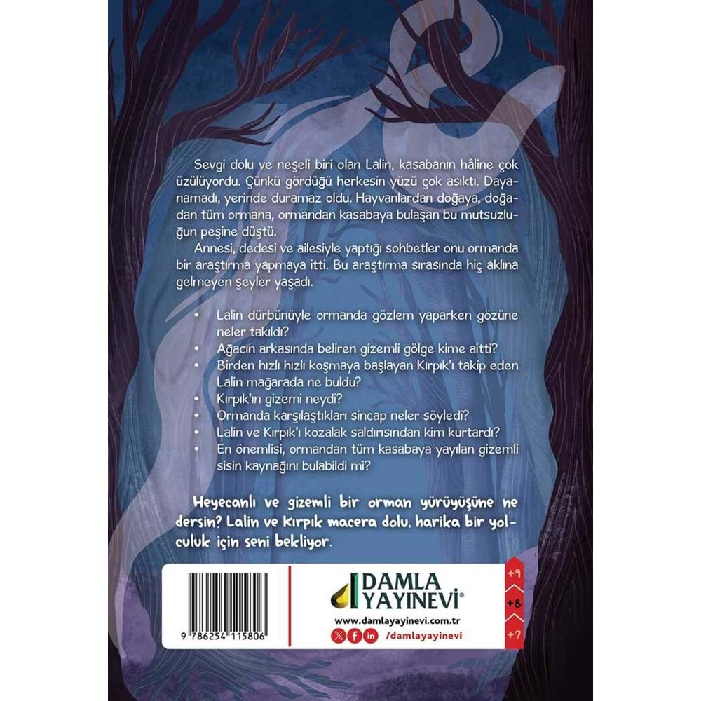 GİZEMLİ SİSİN PEŞİNDE