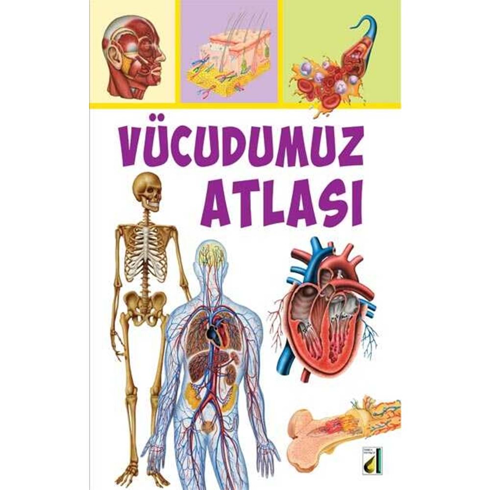 VÜCUDUMUZ ATLASI