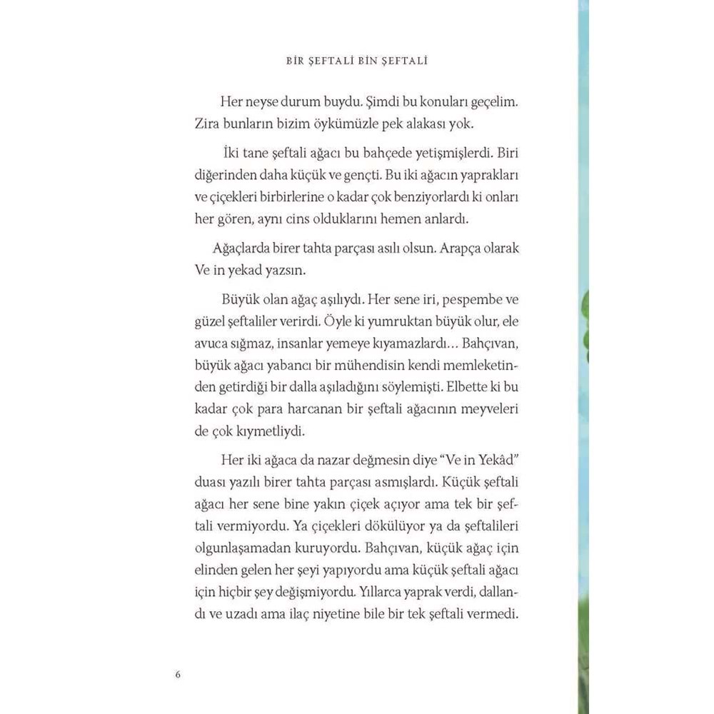 BİR ŞEFTALİ BİN ŞEFTALİ