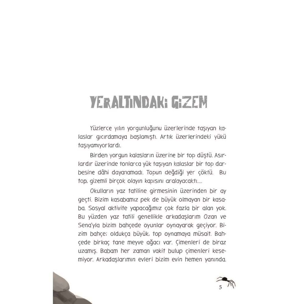 YERALTINDAKİ GİZEM (KARTON)