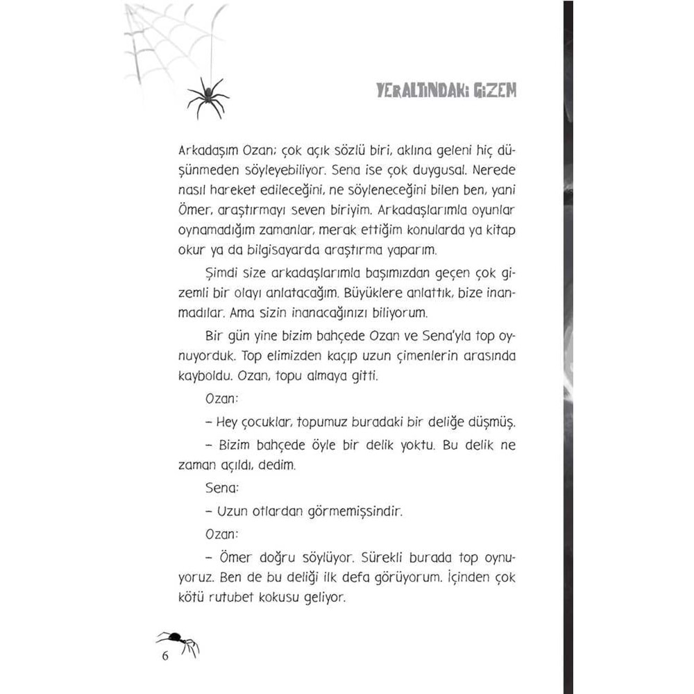 YERALTINDAKİ GİZEM (KARTON)