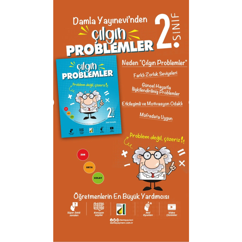 ÇILGIN PROBLEMLER-2. SINIF