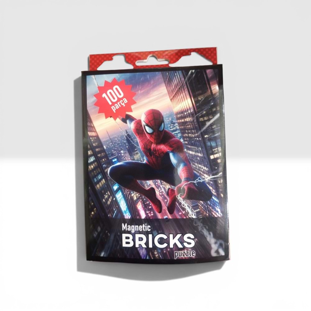100 PARÇA MAGNETİC BRICKS PUZZLE