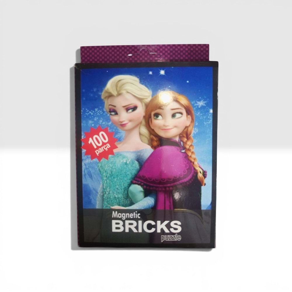 100 PARÇA MAGNETİC BRICKS PUZZLE