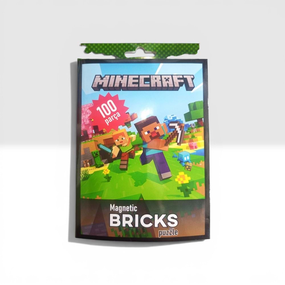 100 PARÇA MAGNETİC BRICKS PUZZLE