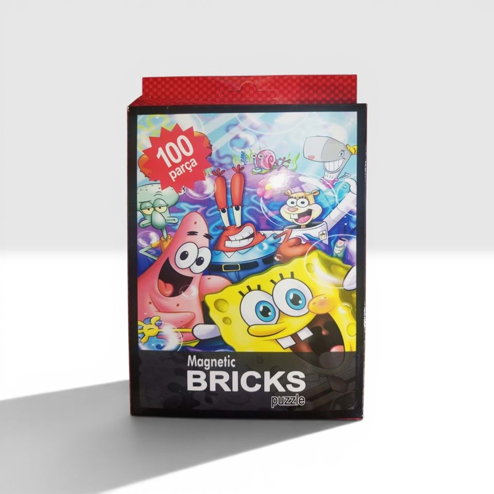 100 PARÇA MAGNETİC BRICKS PUZZLE