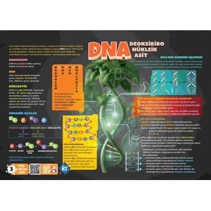 2026 LGS POSTER NOTLAR SETİ