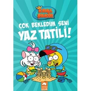 ÇOK BEKLEDİM SENİ YAZ TATİLİ