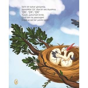 Eyvah Yumurtam Çatladı! (CİLTLİ)