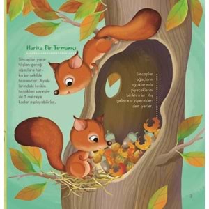 İlk Doğa Kitabım Serisi-1: Minik Yuvalar