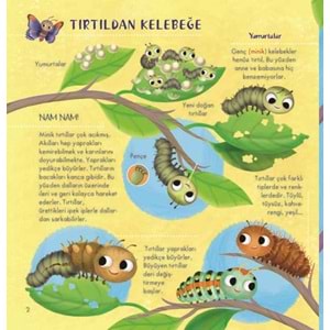 İlk Doğa K itabım Serisi- 2 : Minik Hayvanlar
