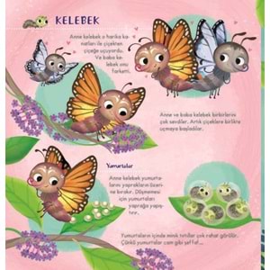 İlk Doğa K itabım Serisi- 2 : Minik Hayvanlar