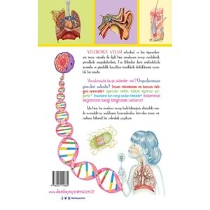VÜCUDUMUZ ATLASI
