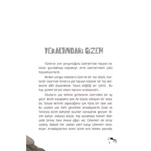 YERALTINDAKİ GİZEM (KARTON)