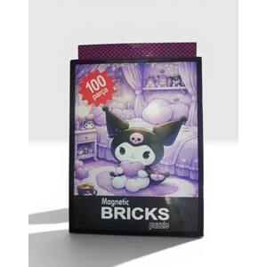 100 PARÇA MAGNETİC BRICKS PUZZLE