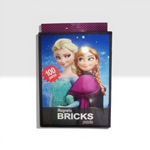 100 PARÇA MAGNETİC BRICKS PUZZLE