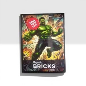 100 PARÇA MAGNETİC BRICKS PUZZLE