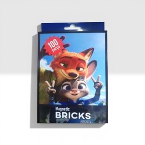100 PARÇA MAGNETİC BRICKS PUZZLE