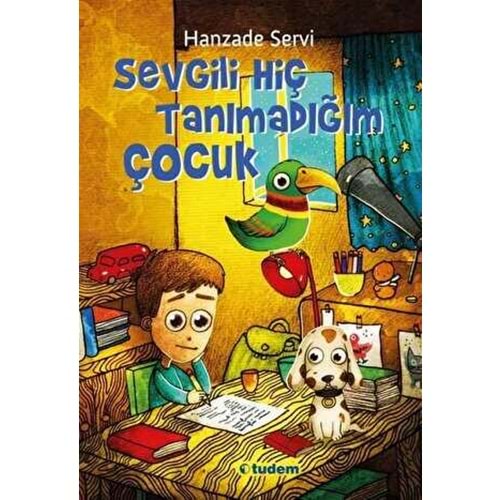 Sevgili Hiç Tanımadığım Çocuk-1