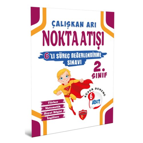 2. SINIF 6'LI SÜREÇ DEĞERLENDİRME SINAVI