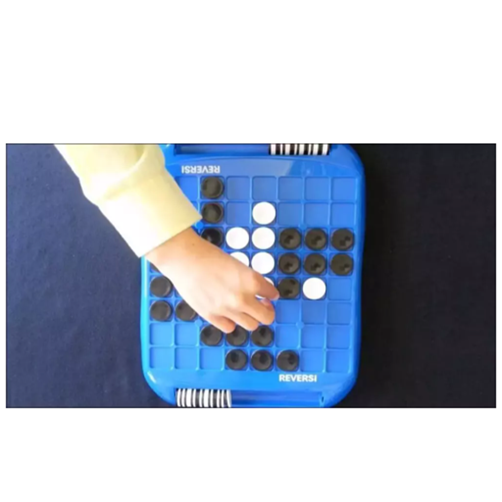 Moli Toys Reversi Zeka ve Dikkat Oyunu