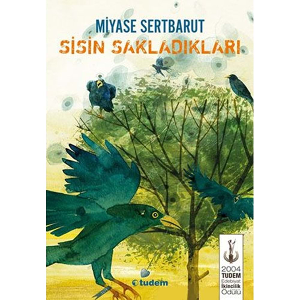 SİSİN SAKLADIKLARI-TUDEM